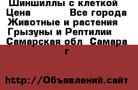 Шиншиллы с клеткой › Цена ­ 8 000 - Все города Животные и растения » Грызуны и Рептилии   . Самарская обл.,Самара г.